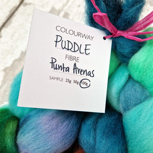 Punta Arenas wool top - Hand dyed - 100g (3.5oz) - PUDDLE