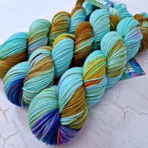 Hand dyed SW Bluefaced Leicester - DK 225m 100g CAMPERVAN